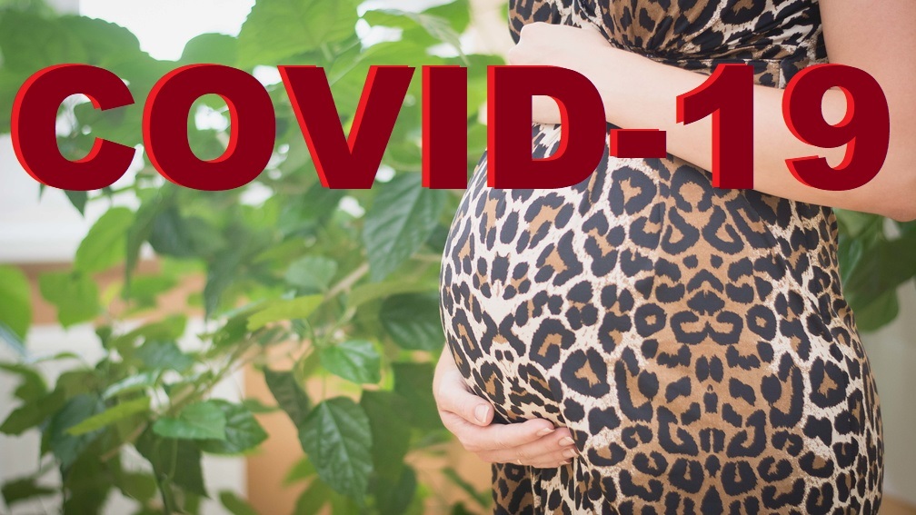 Самый крупный очаг инфицирования COVID-19 определён в Приморье