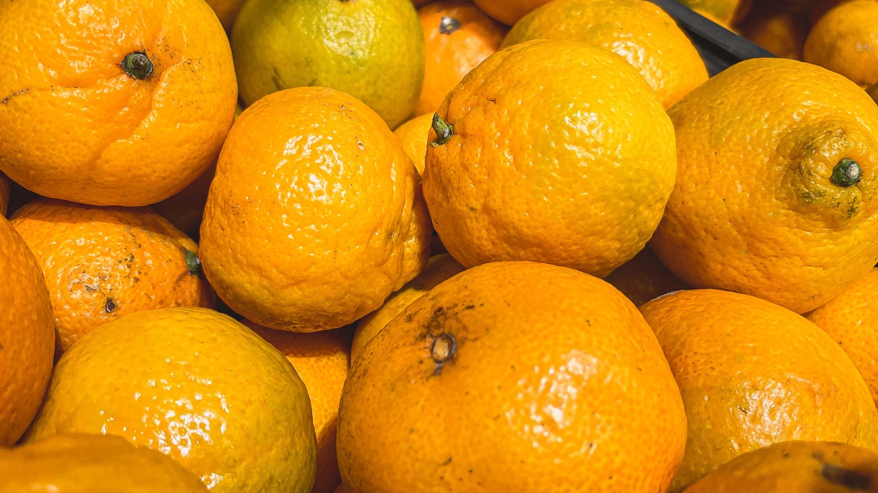 Пакистан тоннами завозит мандарины в Приморский край