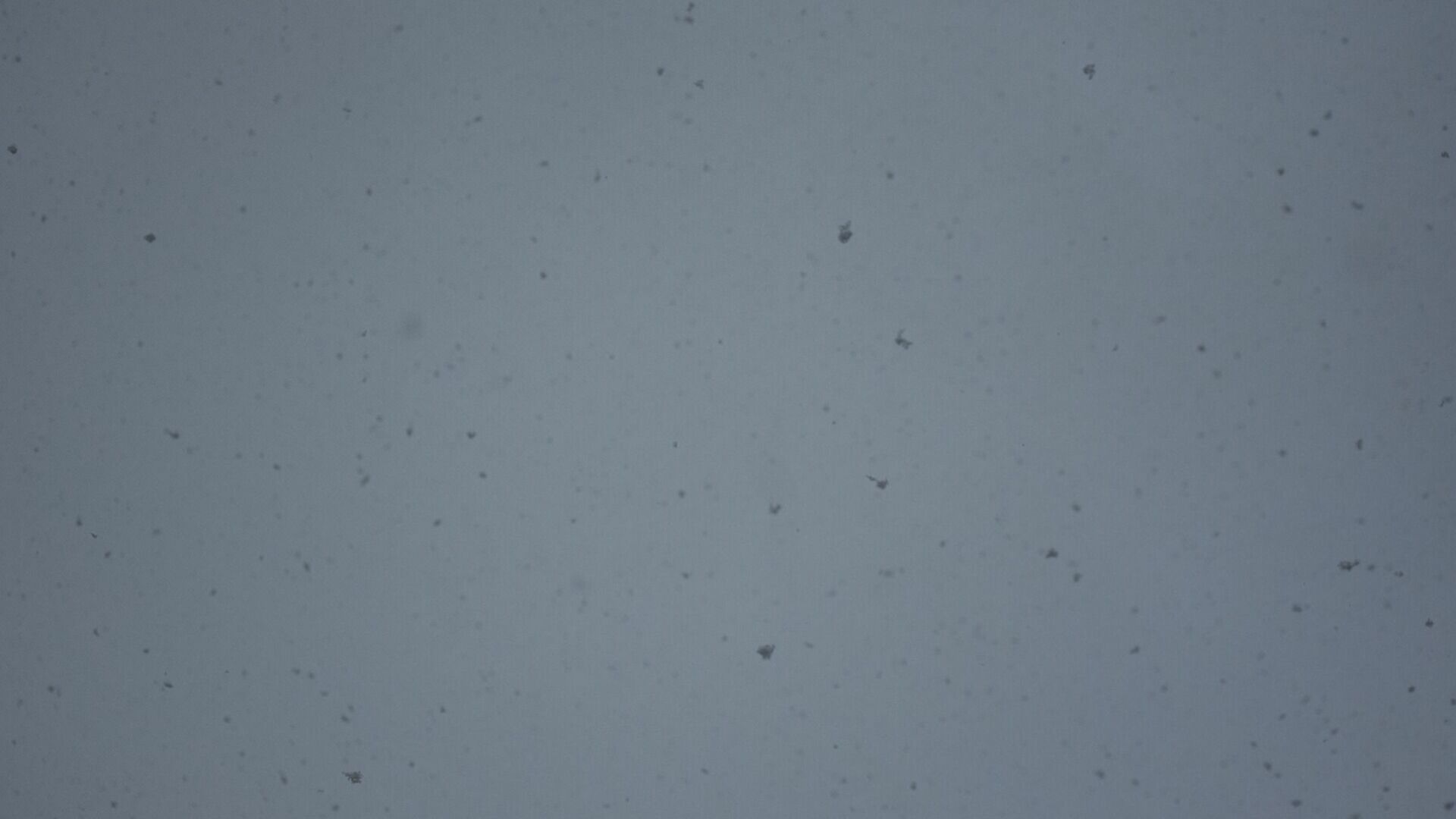 Снежный блэкаут — Ольгинский район Приморья замерзает под снегом в темноте