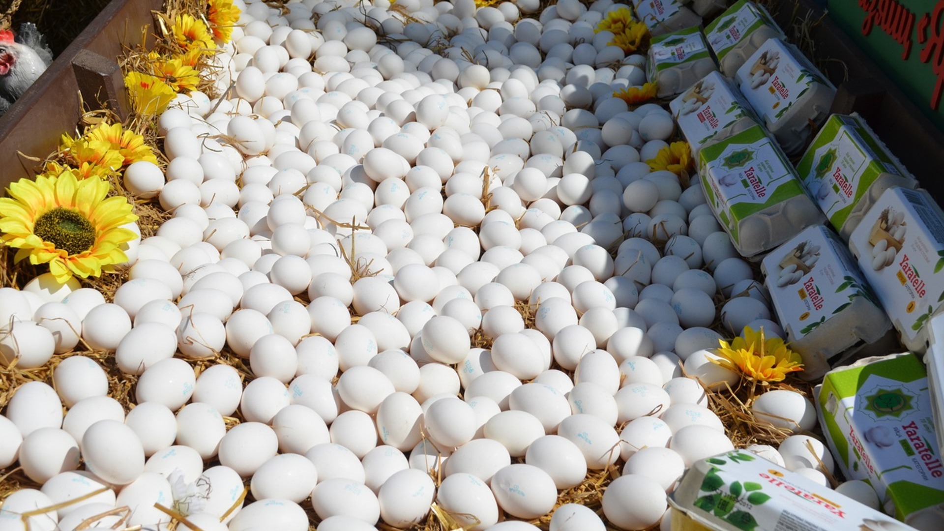Новый резидент СПВ создаст в Приморье производство 17,6 млн яиц в год