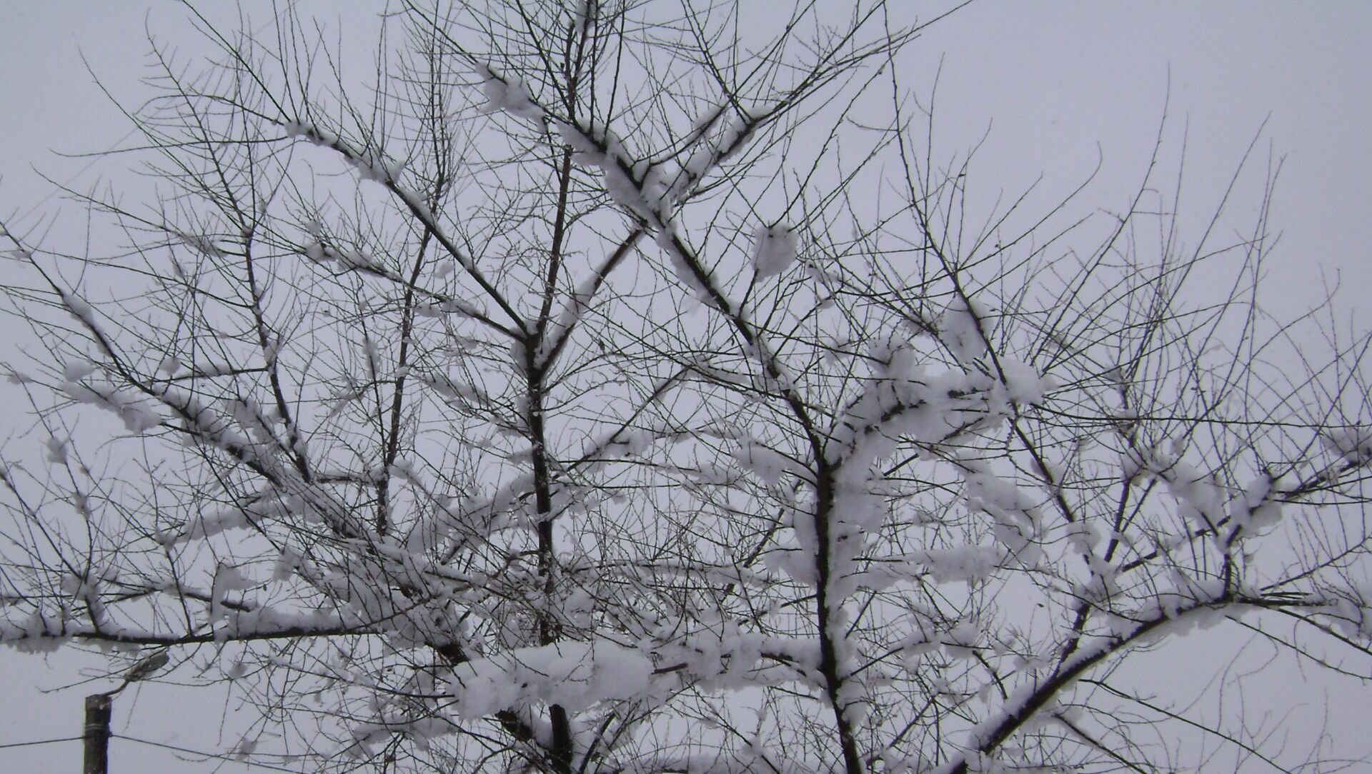 В Приморском крае в конце недели ожидается снег и гололедица
