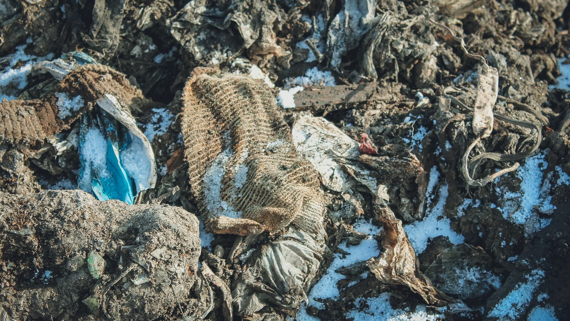 Жители Улан-Удэ задыхаются из-за свалки мёртвых собак