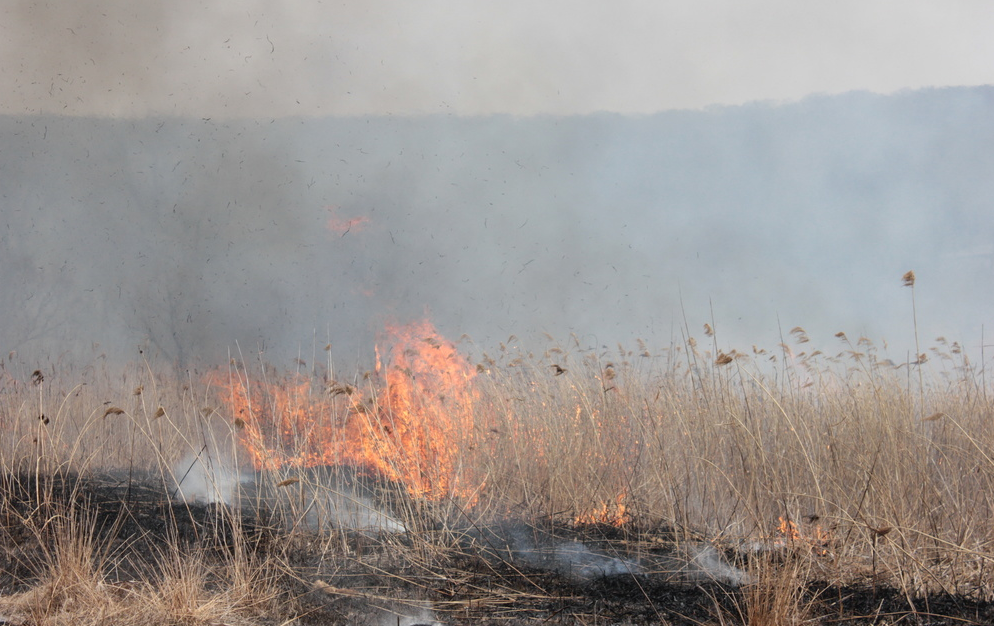 Пожары не за горами: в Приморье ведётся подготовка к опасному сезону