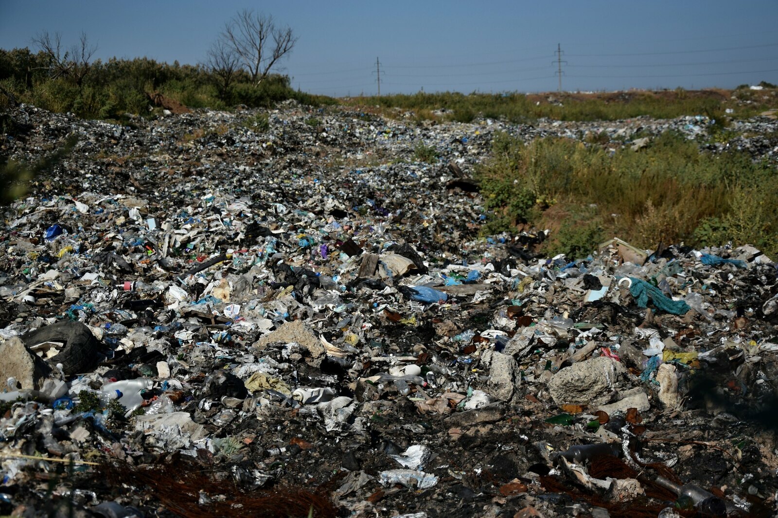 Жители Биробиджана боятся утонуть в мусоре, потому что кто-то украл баки сбора ТБО