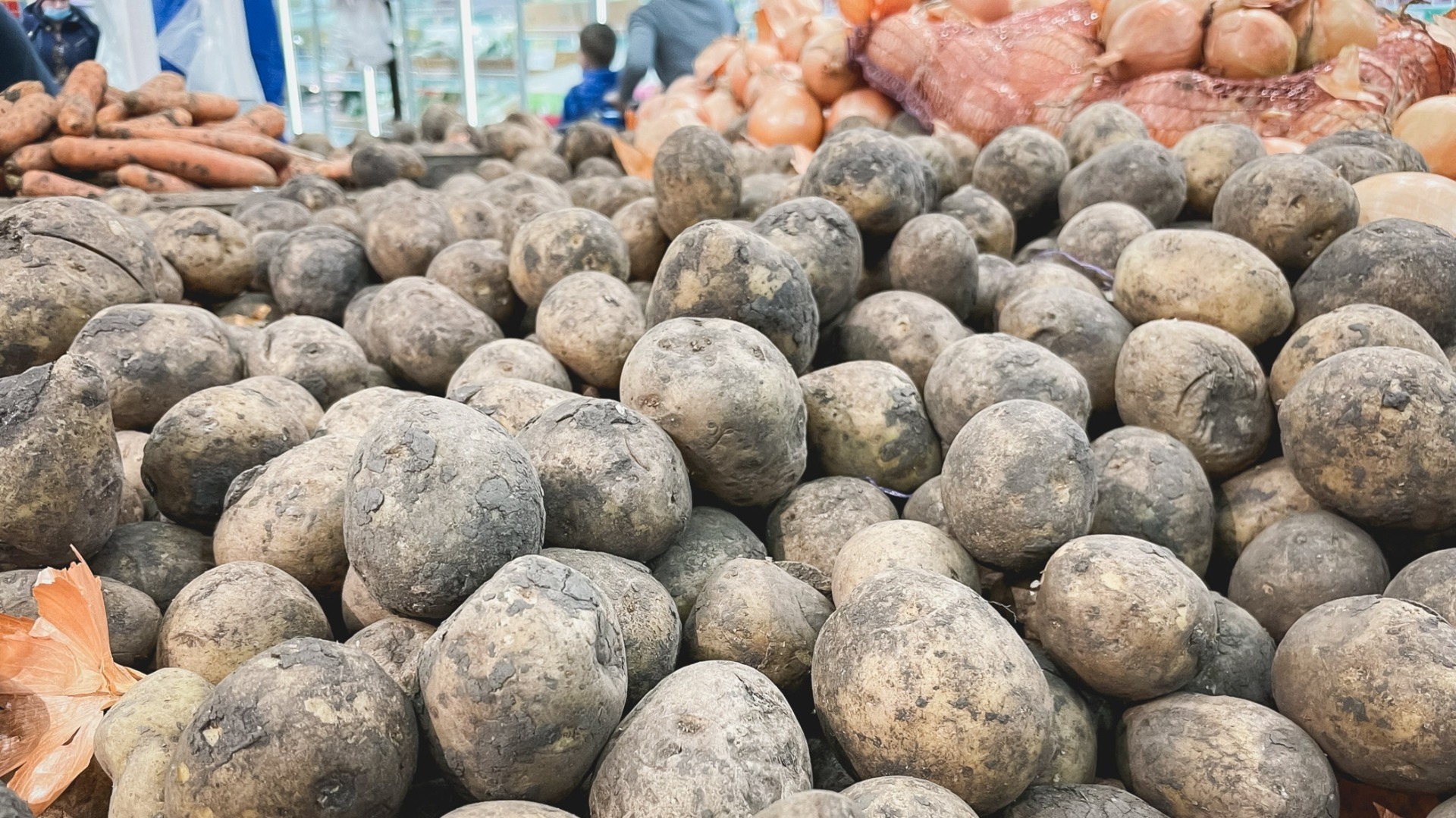 Пострадавшие от тайфуна могут купить картошку по социальной цене в Приморье