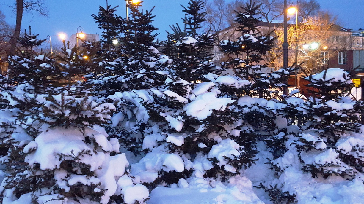 Прокуратура Владивостока потребовала у мэрии определить места «снежных свалок»