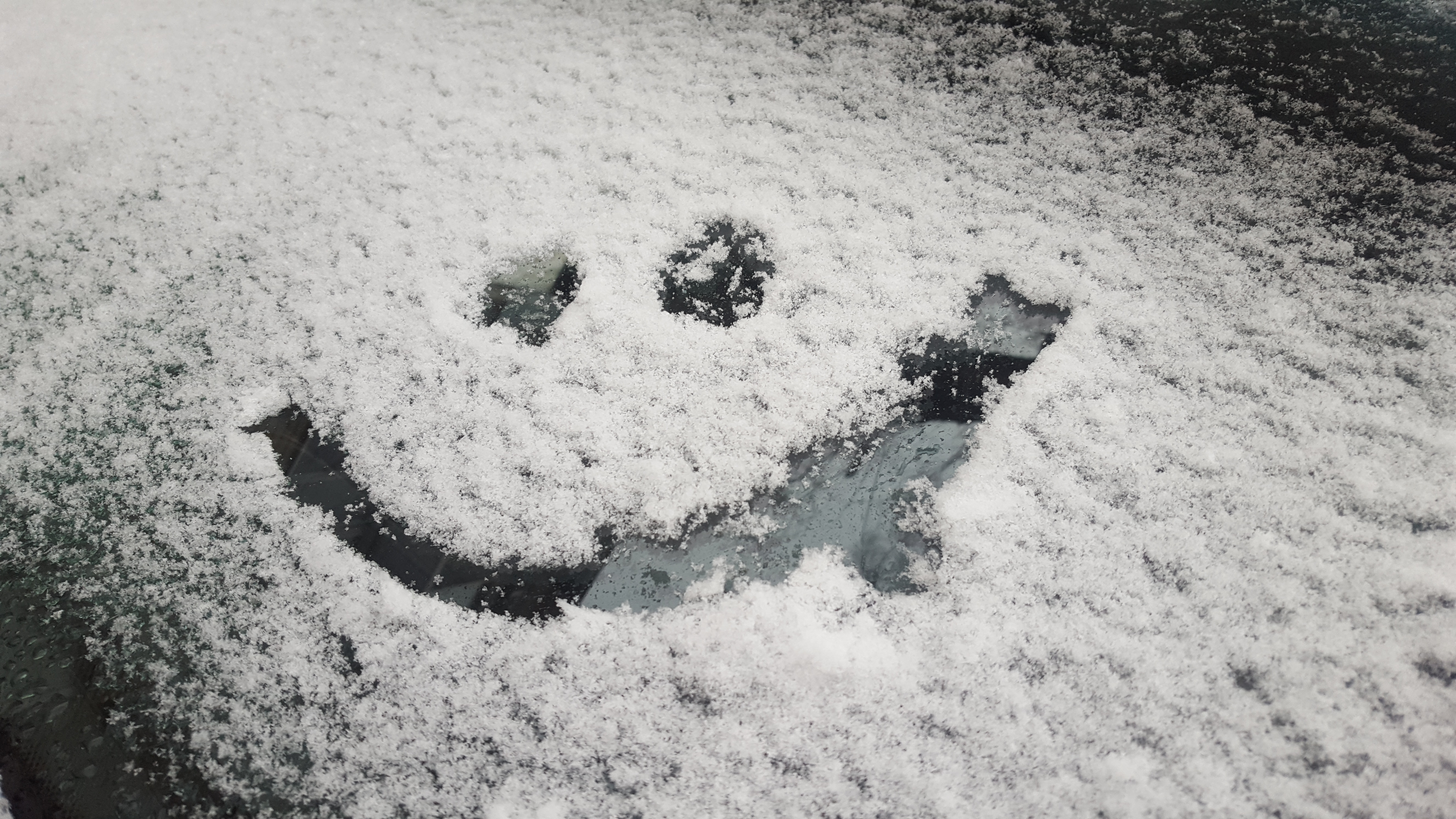 «Выключайте зиму»: в соцсетях появилось фото лучшей снежной фигуры Владивостока