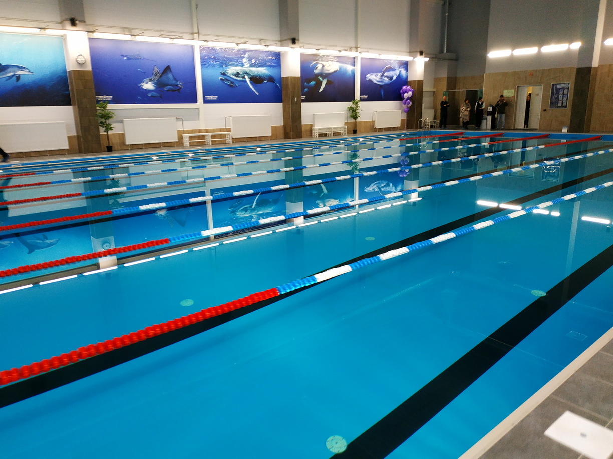 «Им всё нравится»: пловцы-олимпийцы прибыли в Приморье на финальные тренировки