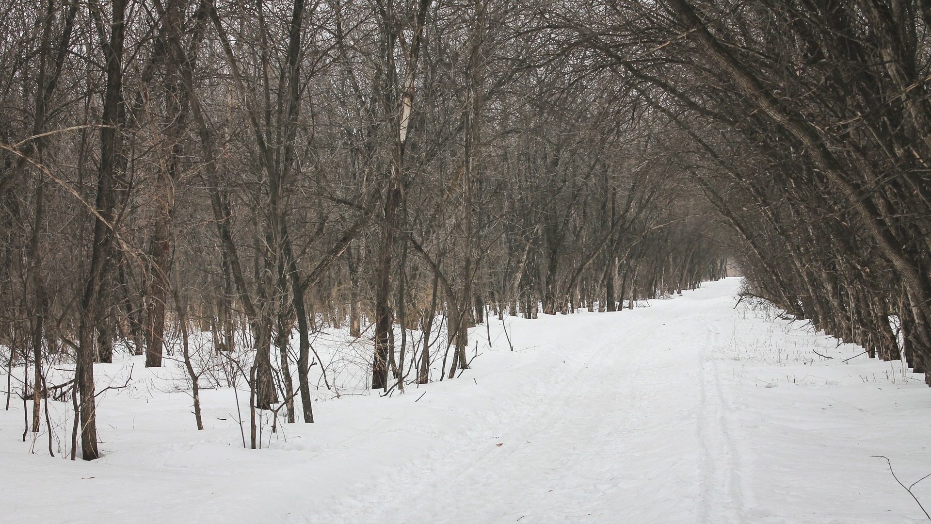 Первый снег в Приморье: перевалы припорошило, Владивосток готовится к осадкам