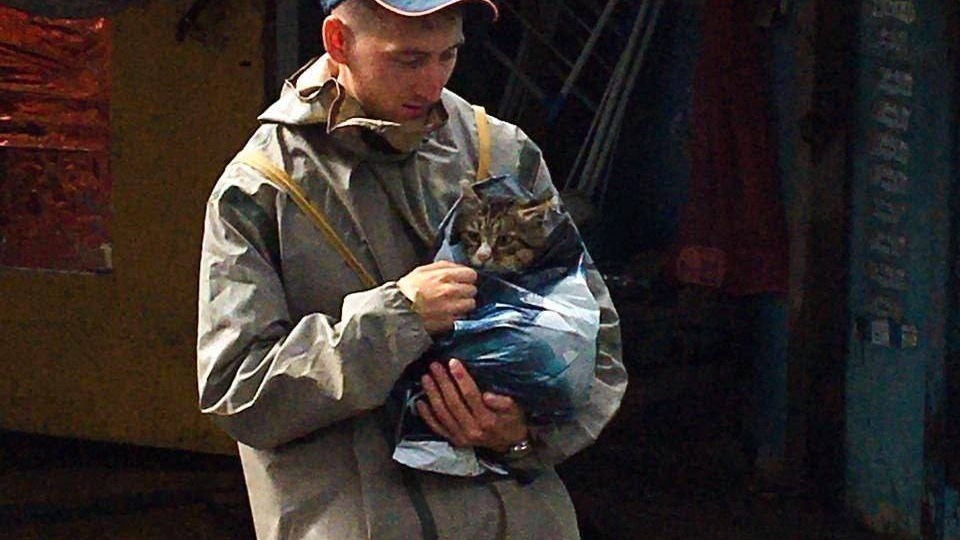 Сотрудники МЧС спасли котенка во время подтопления в Приморье