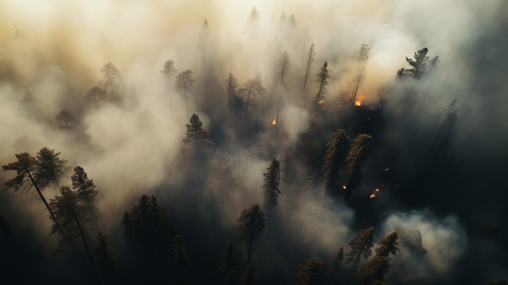 Крупный ландшафтный пожар локализовали в Приморском крае — он подступил к селу