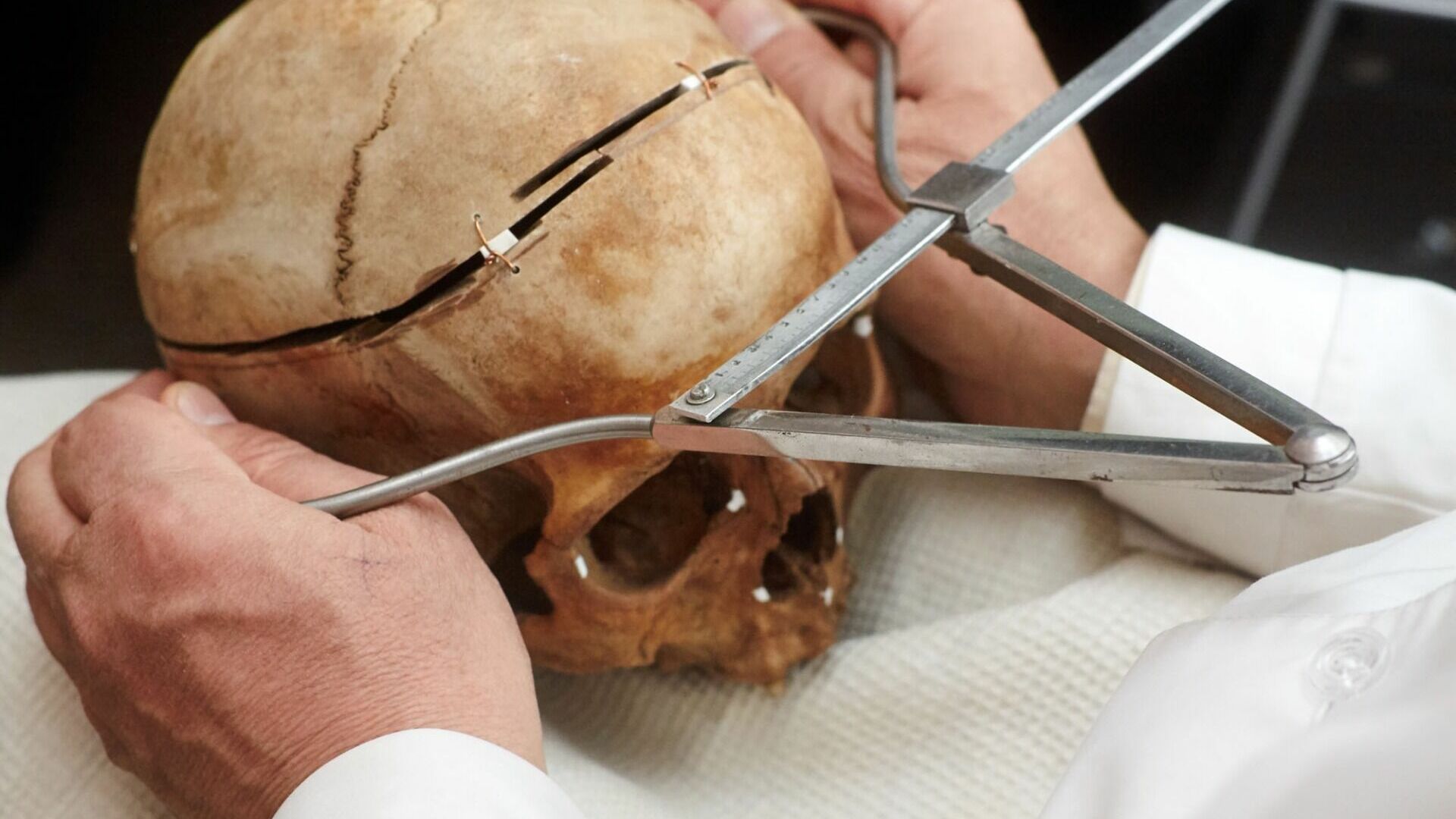 Человеческий череп обнаружили в одной из пещер Приморского края