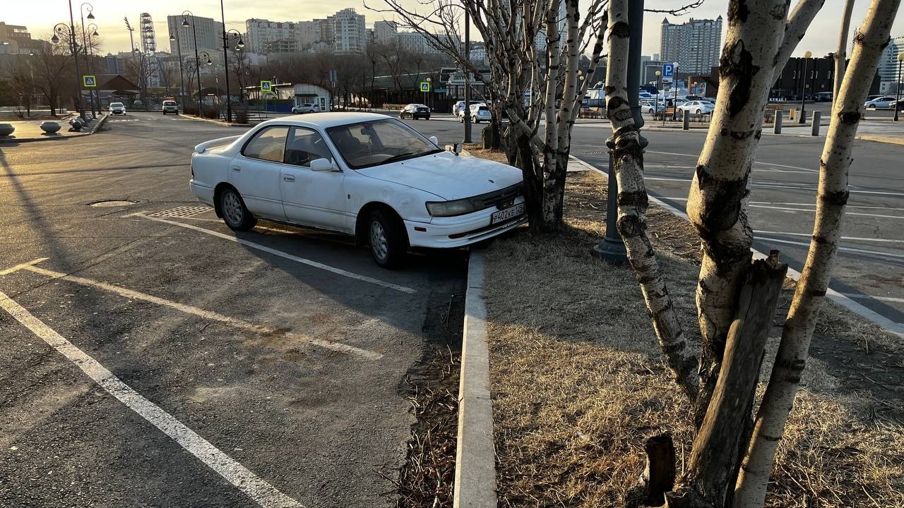 Водитель врезался в дерево во Владивостоке