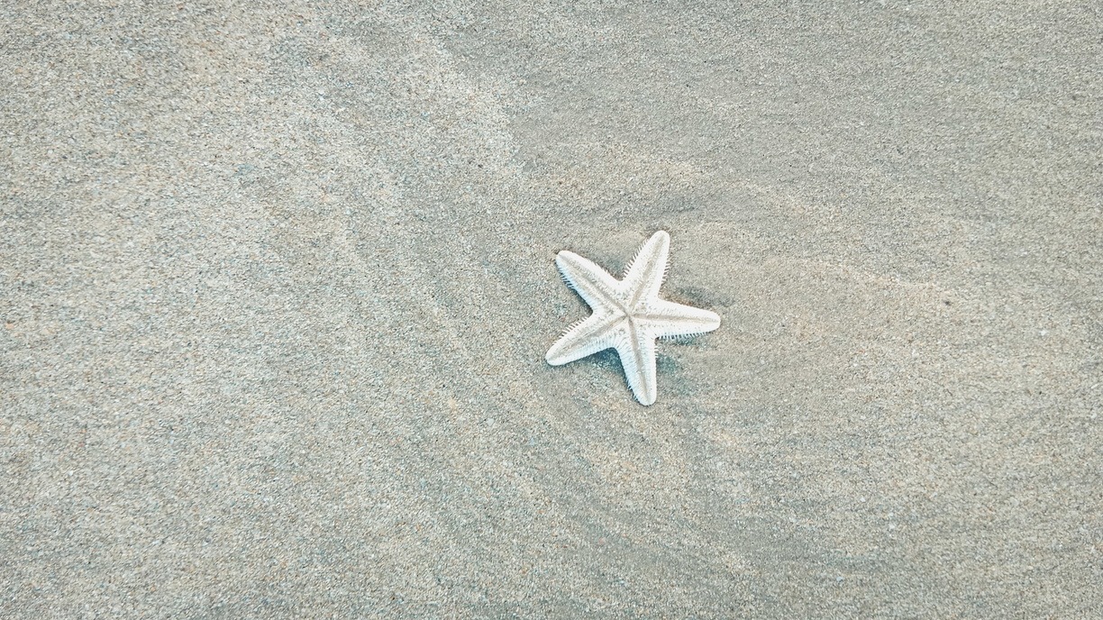 Ещё один пляж одобрен для купания в Приморье: список мест