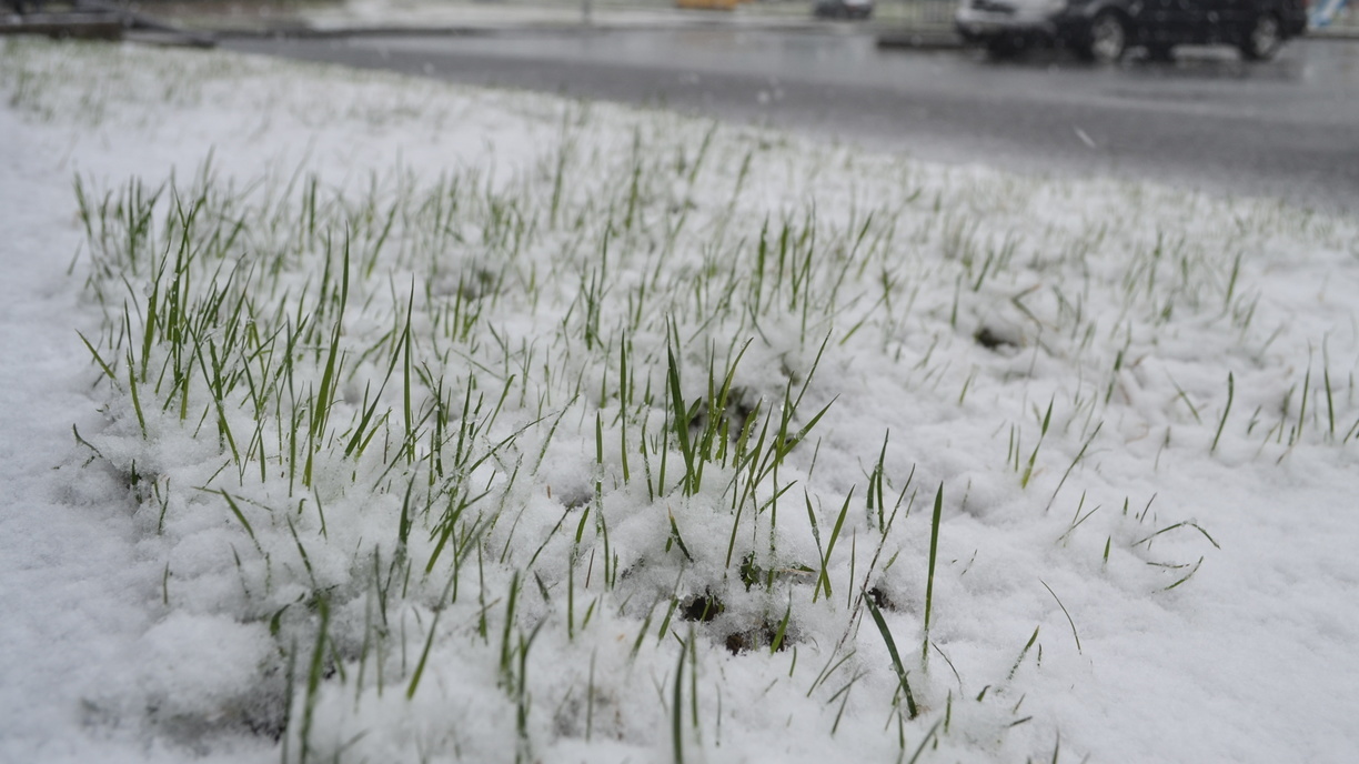 Где выпадет снег? Приморские синоптики дали подробный прогноз на неделю