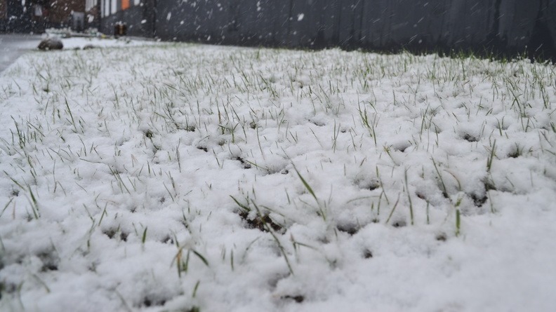 Зима пришла: в районах Приморья выпадет первый снег