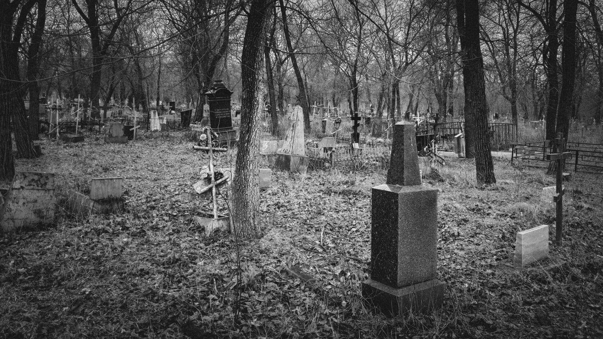 «Топоры и вилы, да поможет нам утро»: что творится на кладбище в Приморье — видео