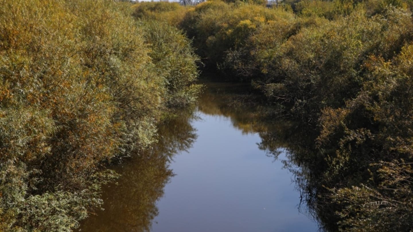 В Спасском районе Приморья очистят русла рек после разрушительных наводнений