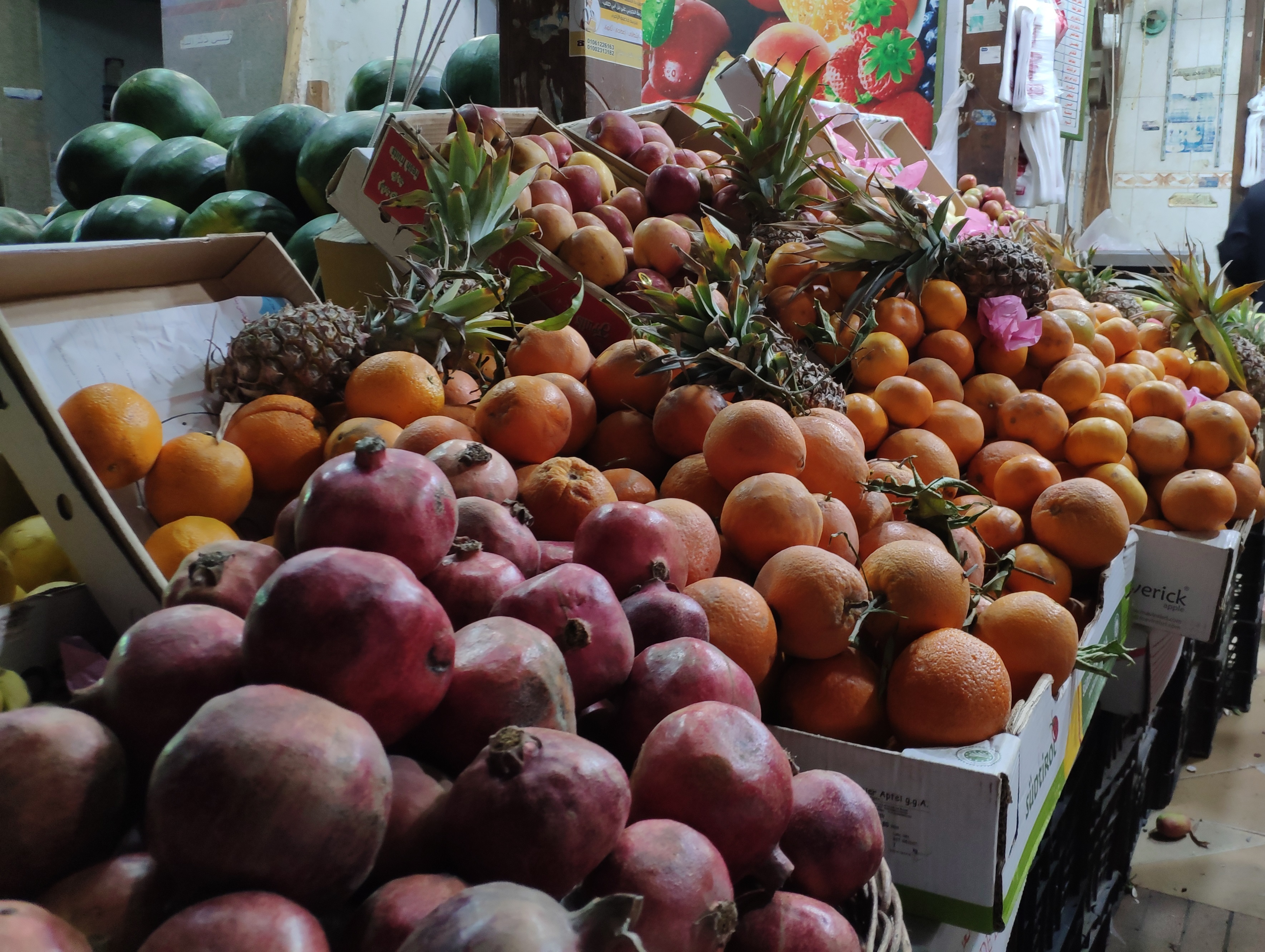 Россия приостановила ввоз фруктов и овощей из Китая