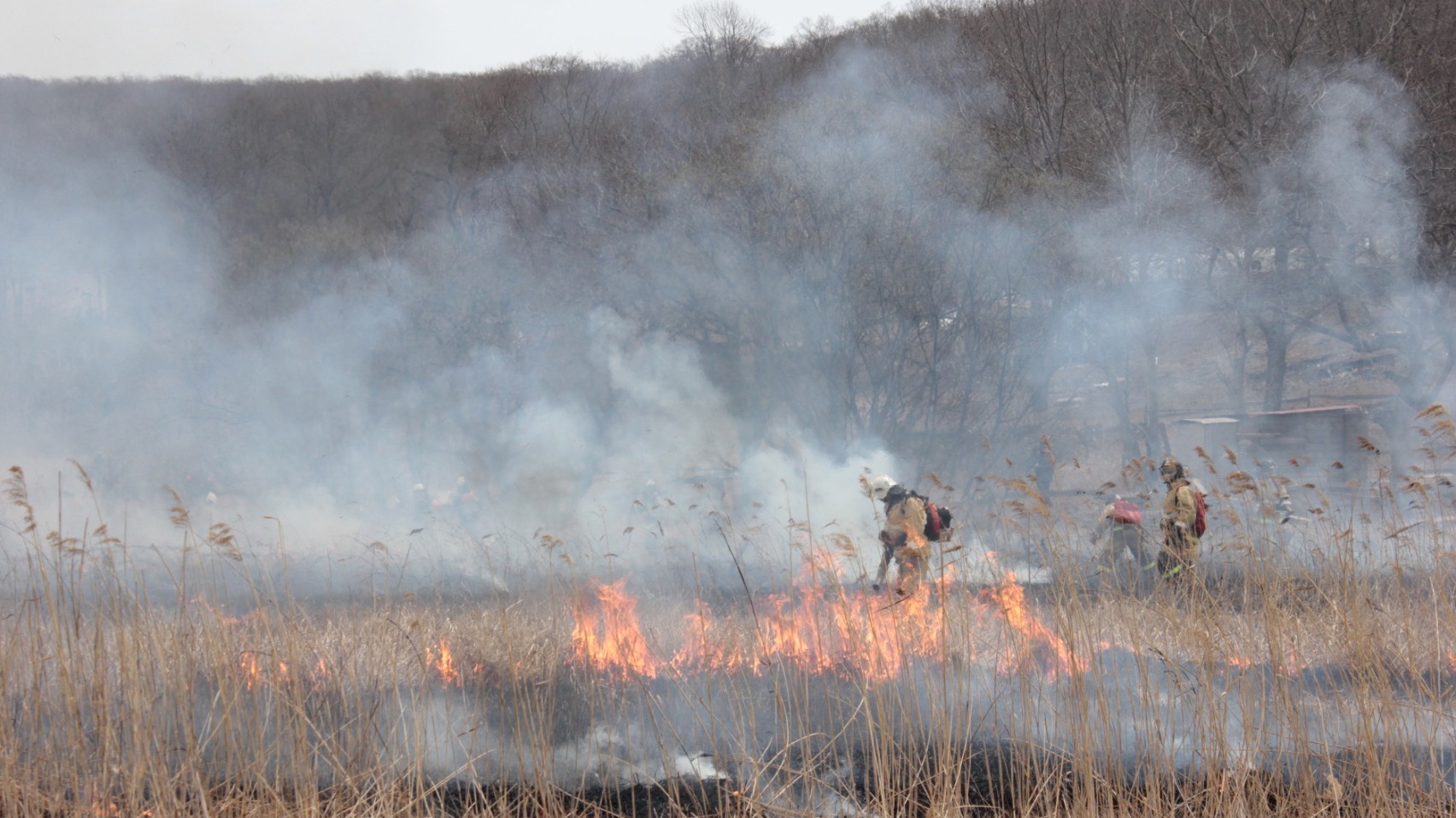 Во Владивостоке за сутки восемь раз горел лес