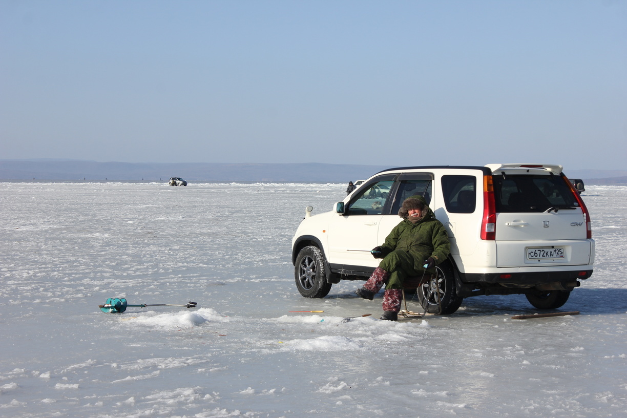 А где спасибо? Приморский рыбак столкнулся с диким животным на льду — видео