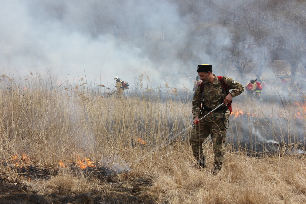 В Анучинском районе Приморья введён особый противопожарный режим