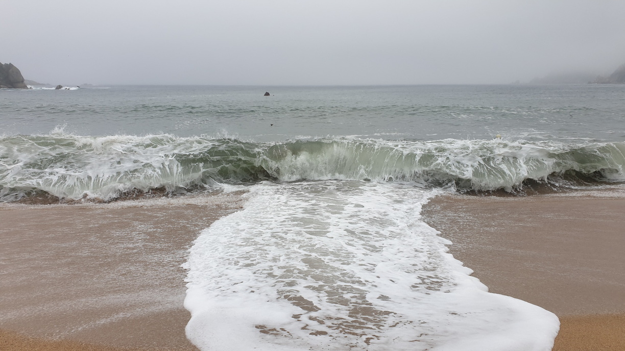 Всю раздербанили: мародеры устроили погром на известном пляже во Владивостоке