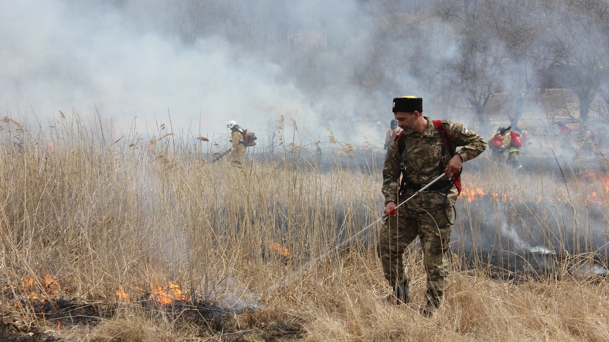 Привлекли Авиалесоохрану: масштабный пожар в пригороде Владивостока тушили 6 часов