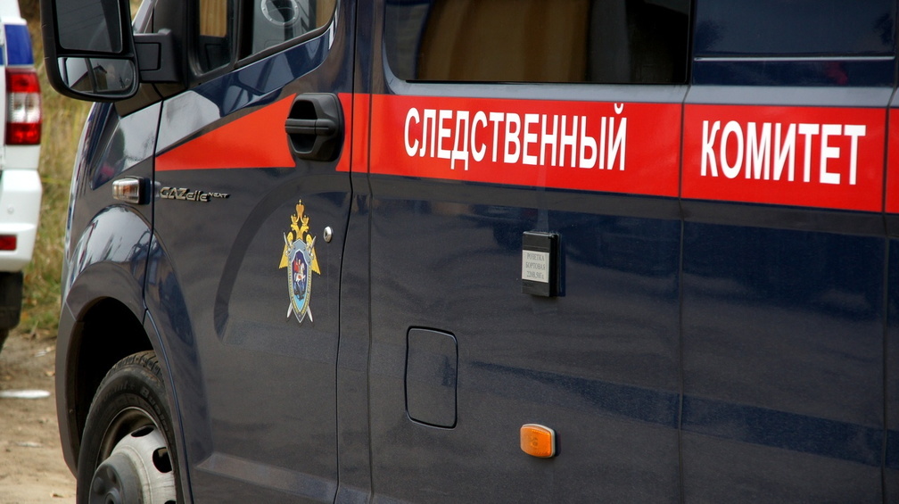 Силовики нагрянули в офис приморского депутата Толмачевой — источник