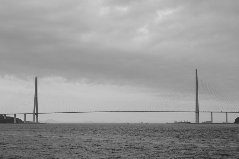 Дату перекрытия моста для всех водителей назвали во Владивостоке