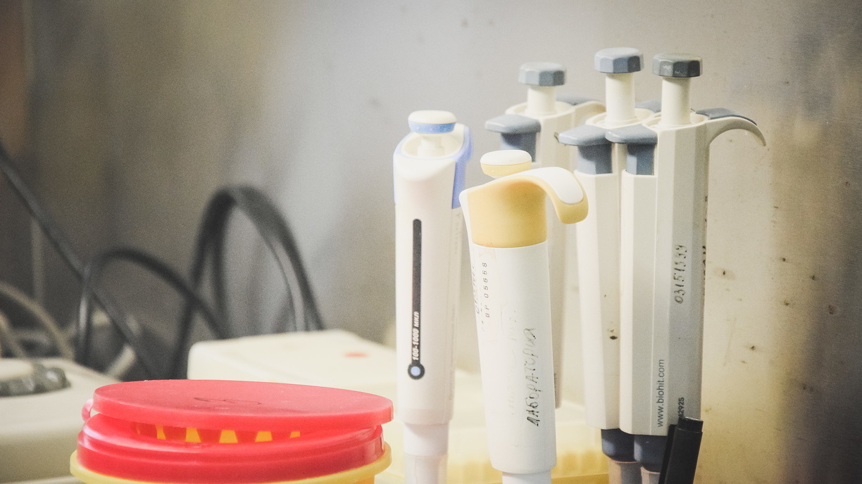 Где в Приморье можно пройти тест на коронавирус: 15 лабораторий