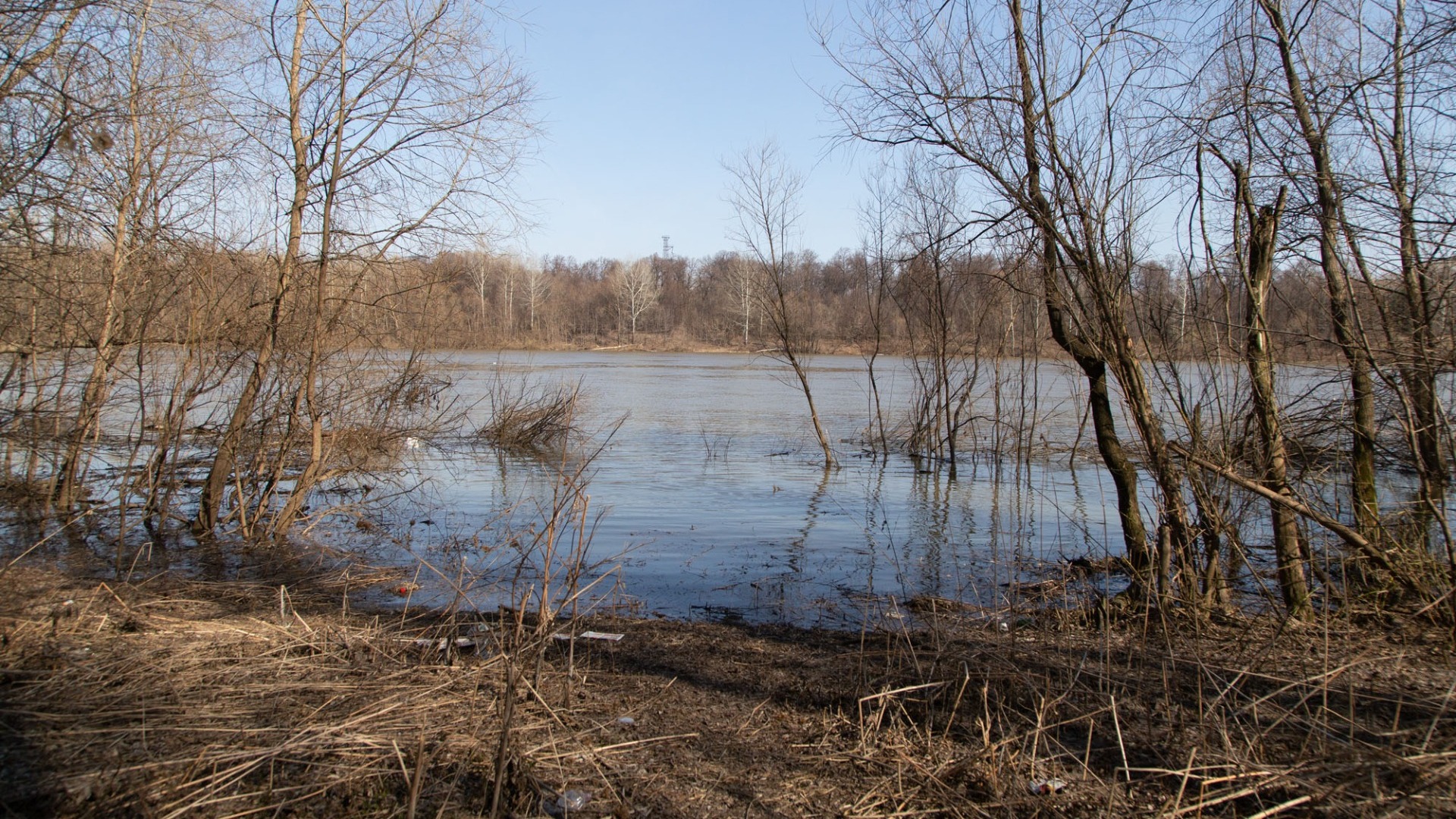 Дноуглубительные работы проходят на реках в Приморском крае