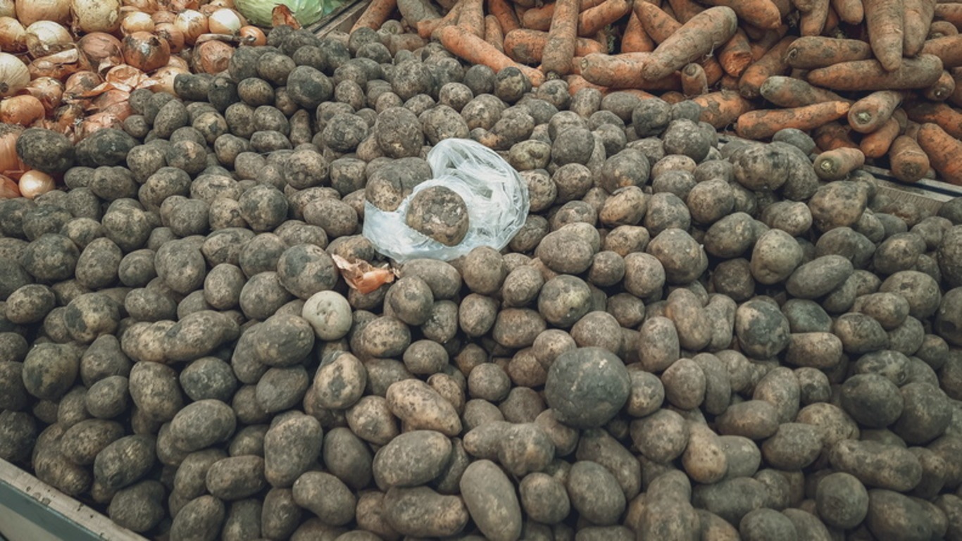 Цены на овощи стабилизируют в Приморье за счет увеличения поставок