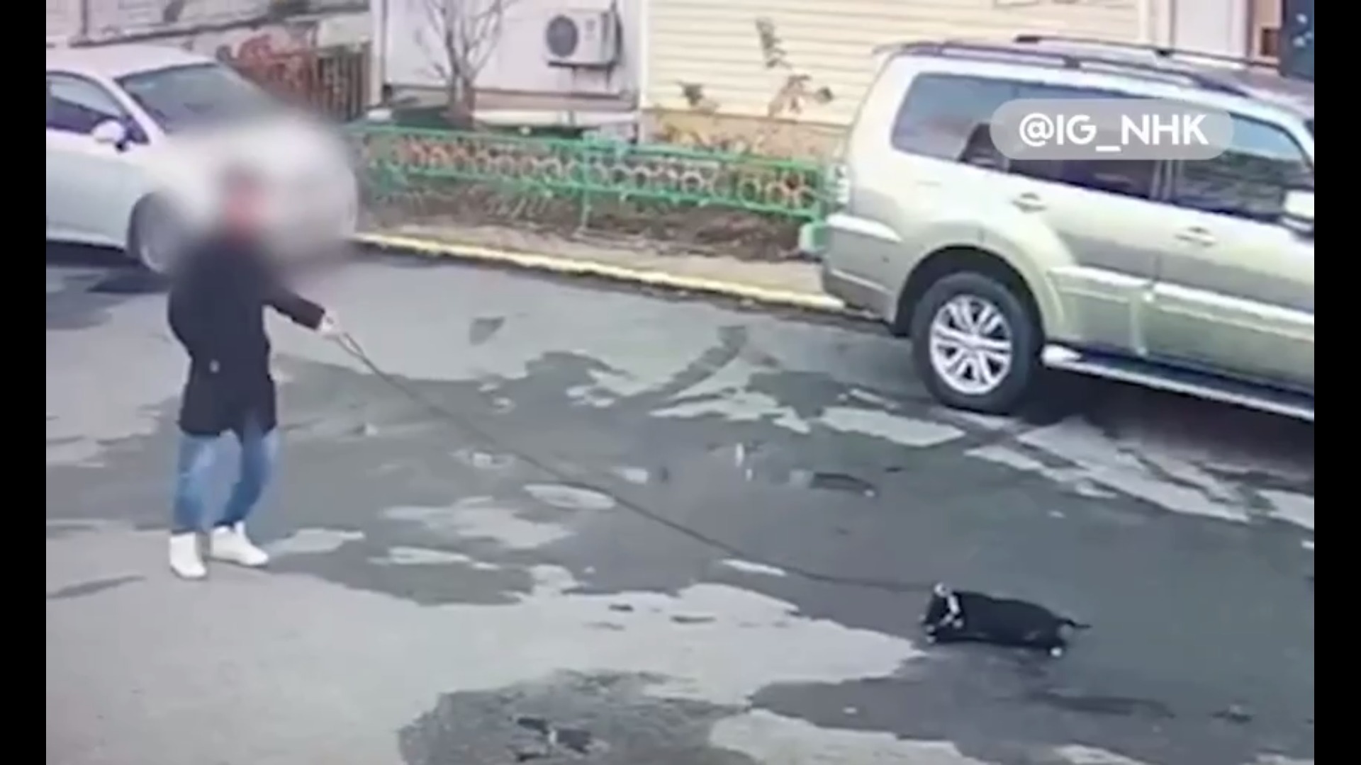 Жители в шоке: ребенок издевается над собакой прямо посреди улицы в Приморье
