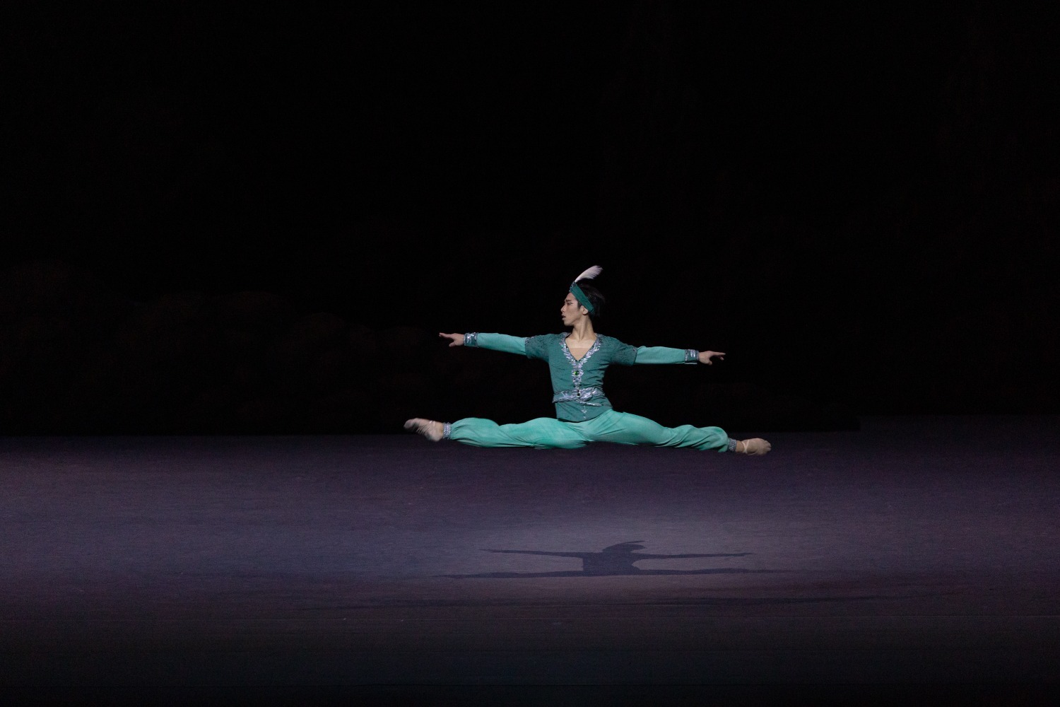 Сцена из балета «Баядерка»