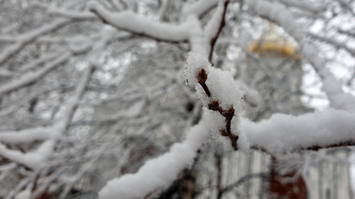Зима и снова тепло: приморские синоптики дали подробный прогноз на неделю