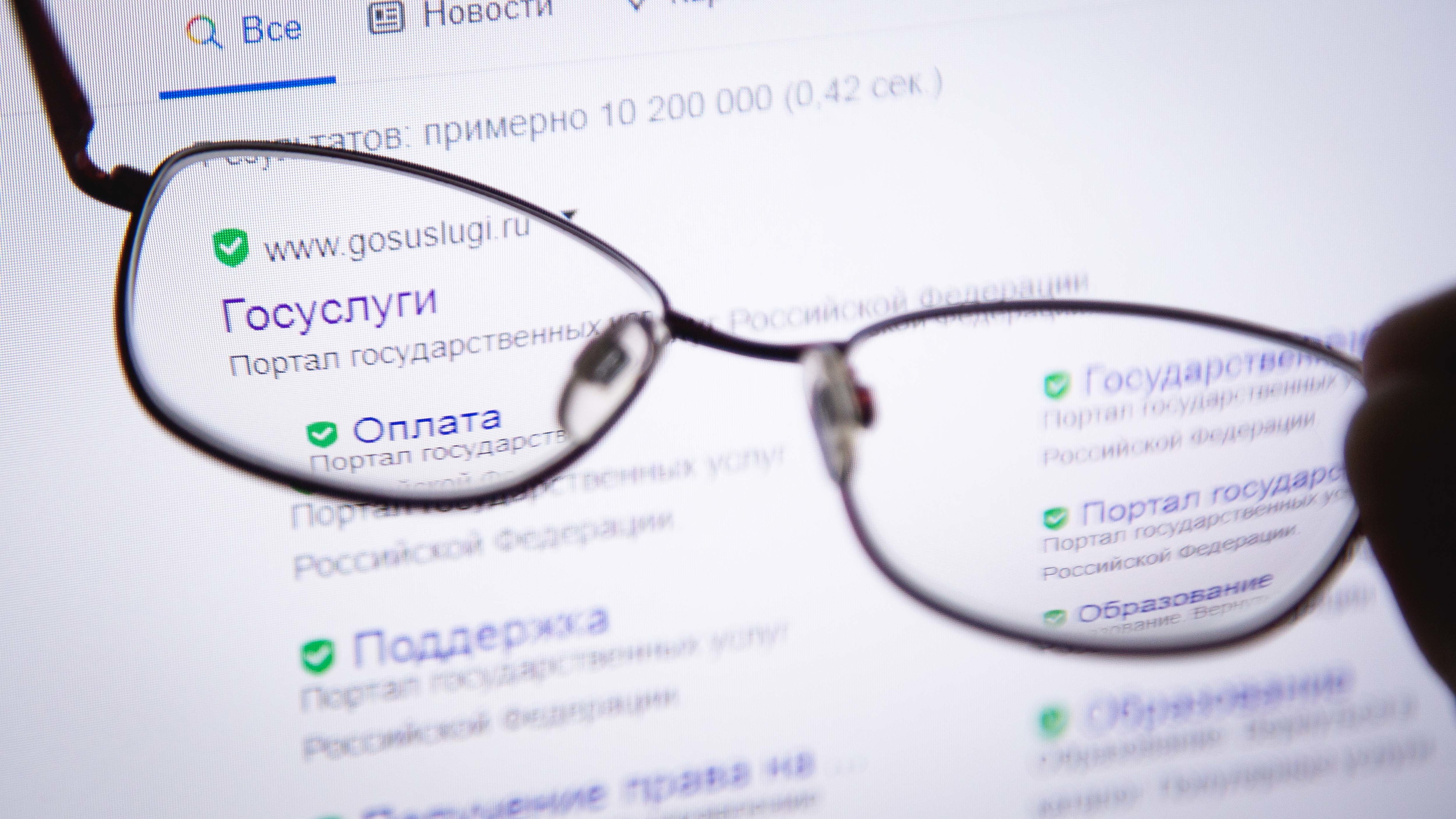 Министерство цифры РФ предлагает «зачистить» клонов сайтов государственных органов
