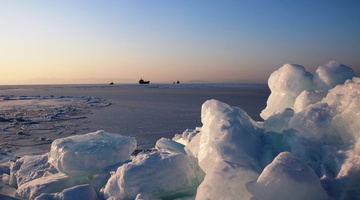 Приморские моржи готовятся покорять открытую воду на Кубке России и чемпионате мира