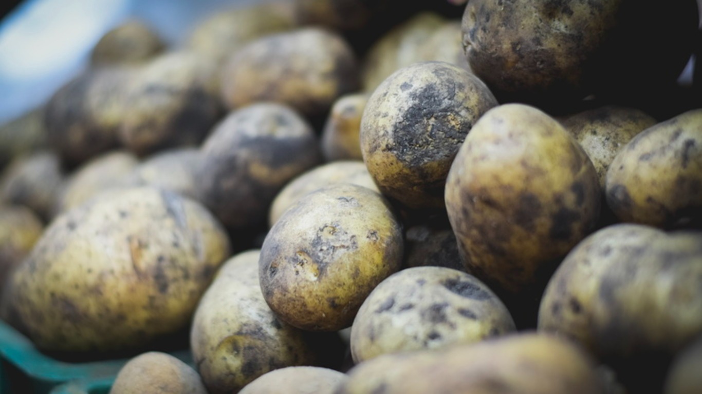 Недорогую картошку завезли в пострадавшие от паводка районы Приморья