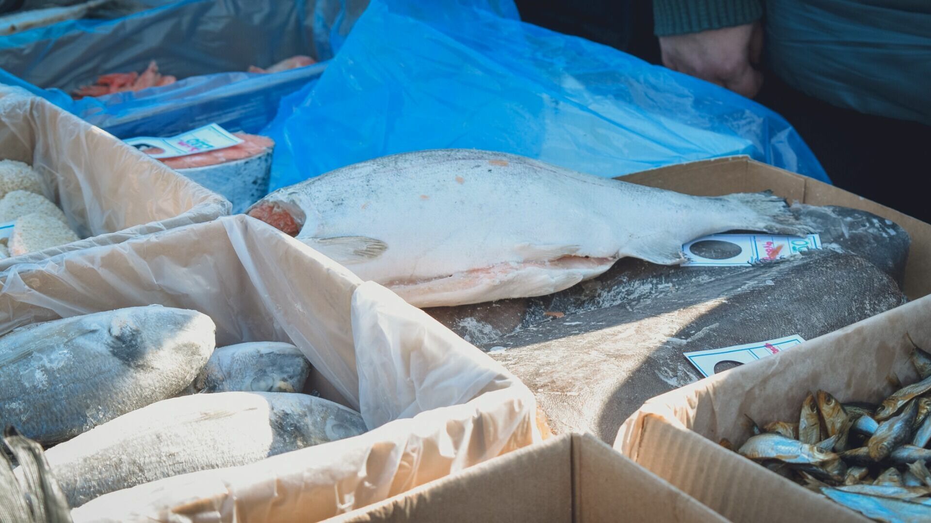 В Приморье застряла крупная партия рыбных консервов из Китая для россиян