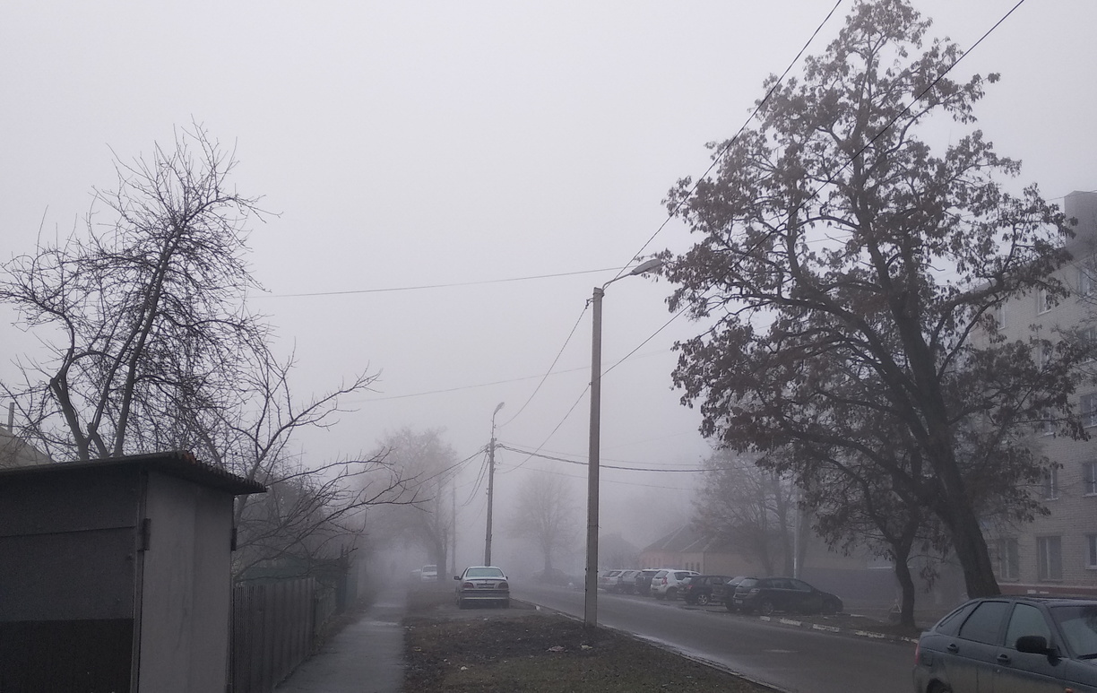Подморозит: на Приморье идут дожди, туман и похолодание