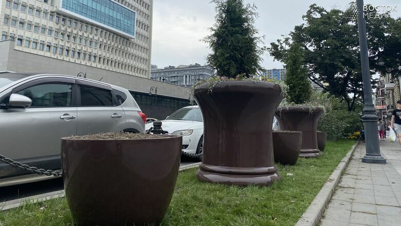 С улиц Владивостока пропали декоративные вазоны с туями