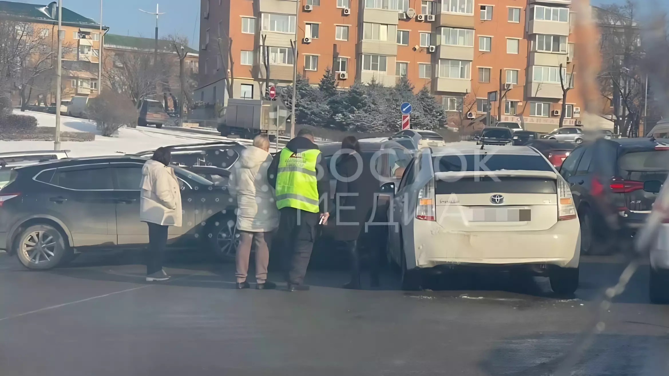 Редкое «краснокнижное» тройное ДТП произошло во Владивостоке