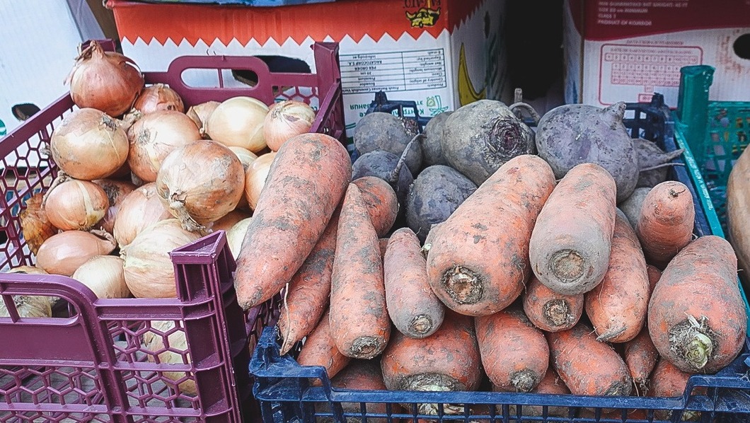 Сахалинская область увеличивает объёмы выращивания овощей