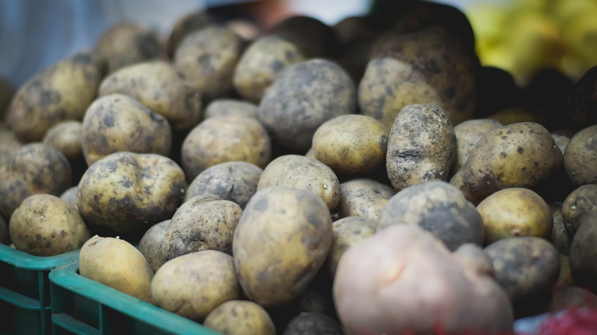 Делом о «картофельной смерти» занялись следователи — фото из подвала во Владивостоке