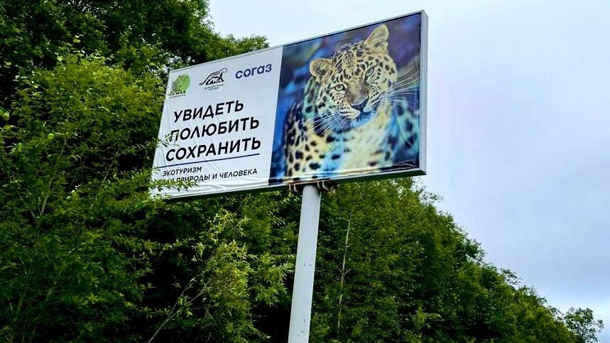 В Приморском крае обновили леопардов — поменяли на новеньких