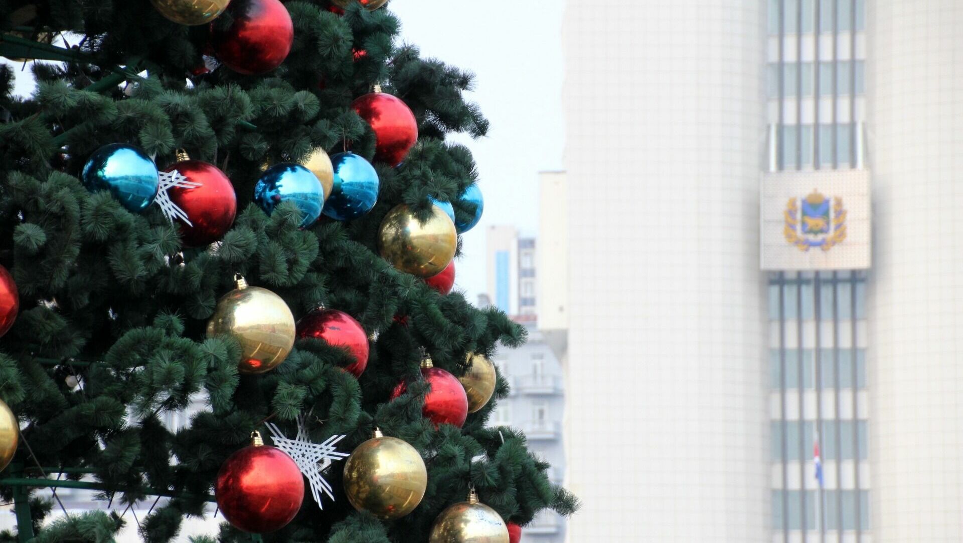 Новый год на минималках: сколько собираются потратить в Приморском крае