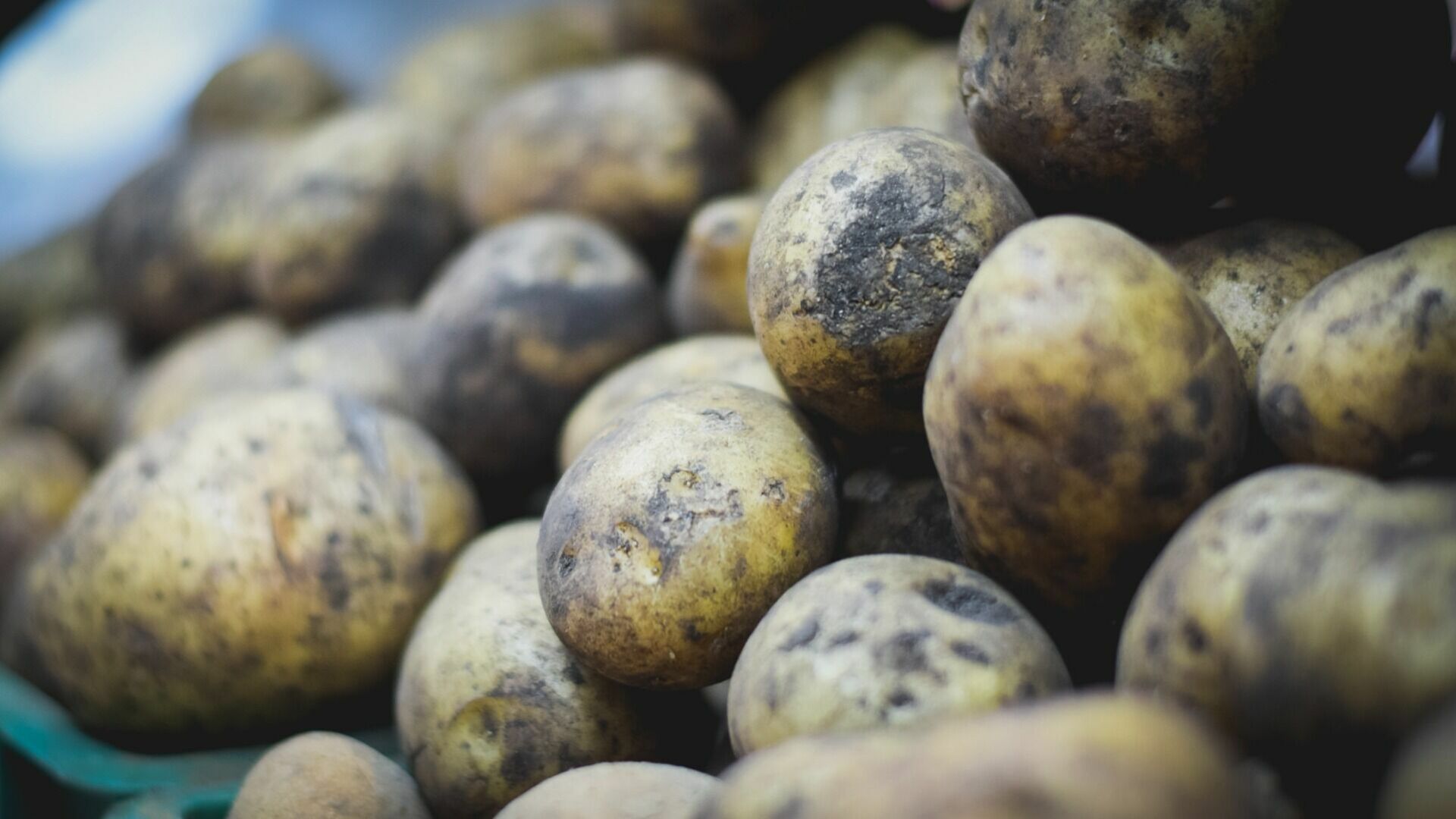 Жители Приморья получили 27 тонн бесплатного картофеля  