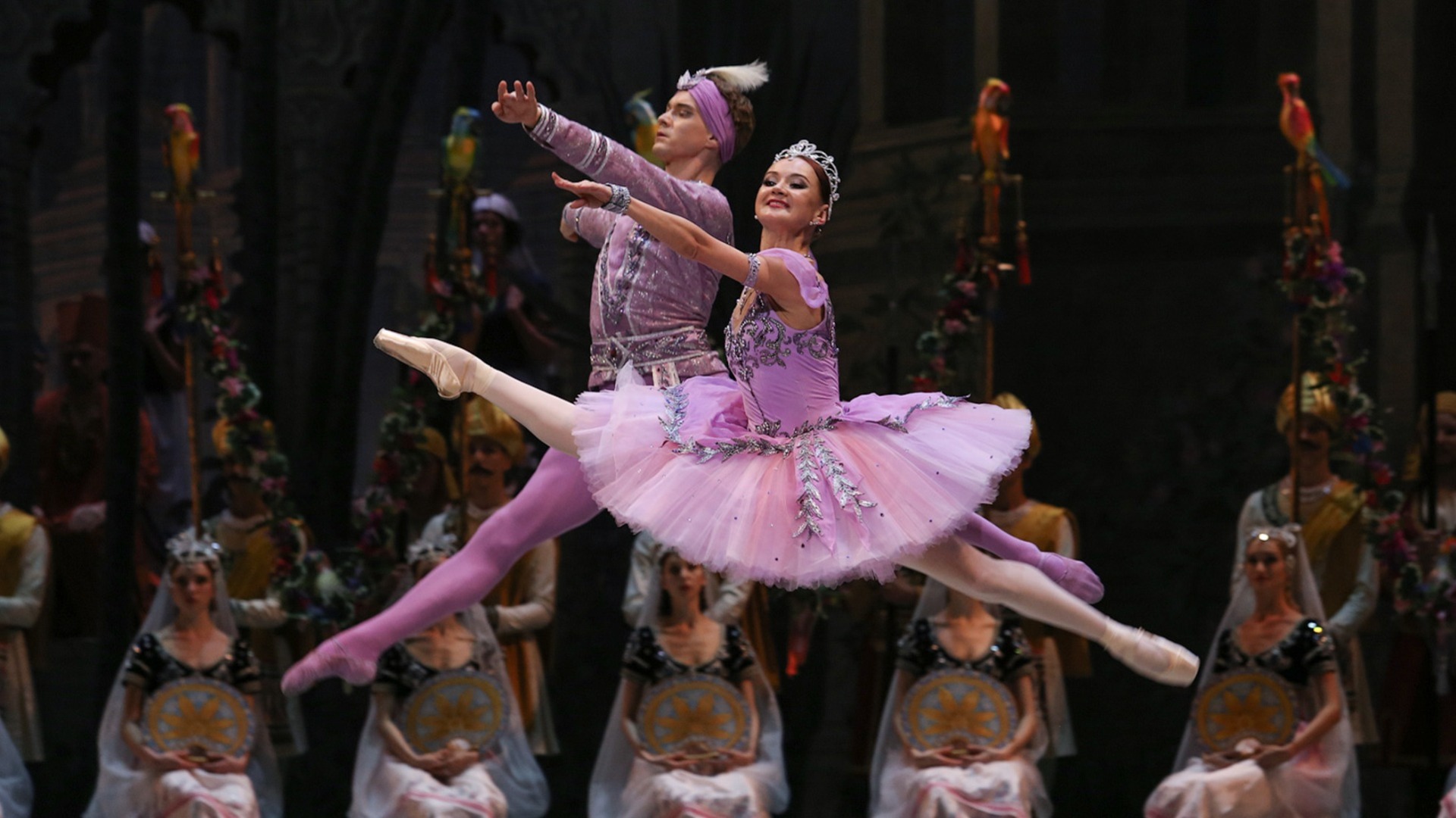 Две постановки Приморской сцены Мариинского театра покажут в КНДР
