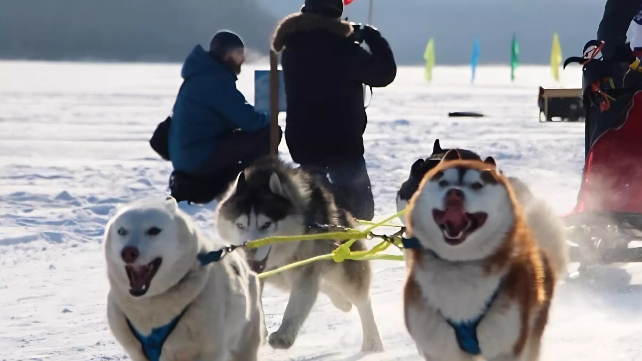 В Приморском крае пройдут соревнования по снежному ездовому спорту